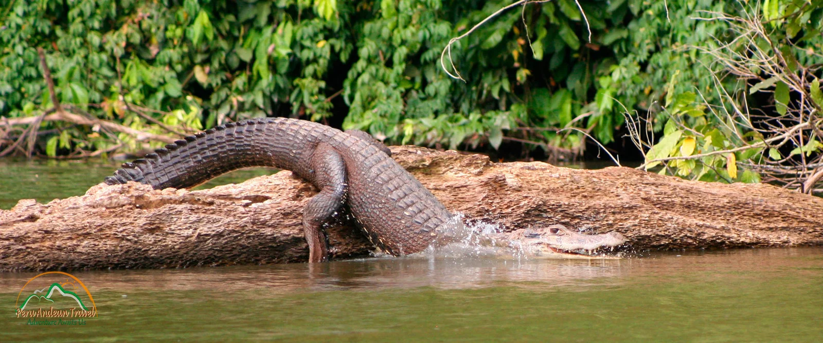 Parque-Nacional-del-Manu