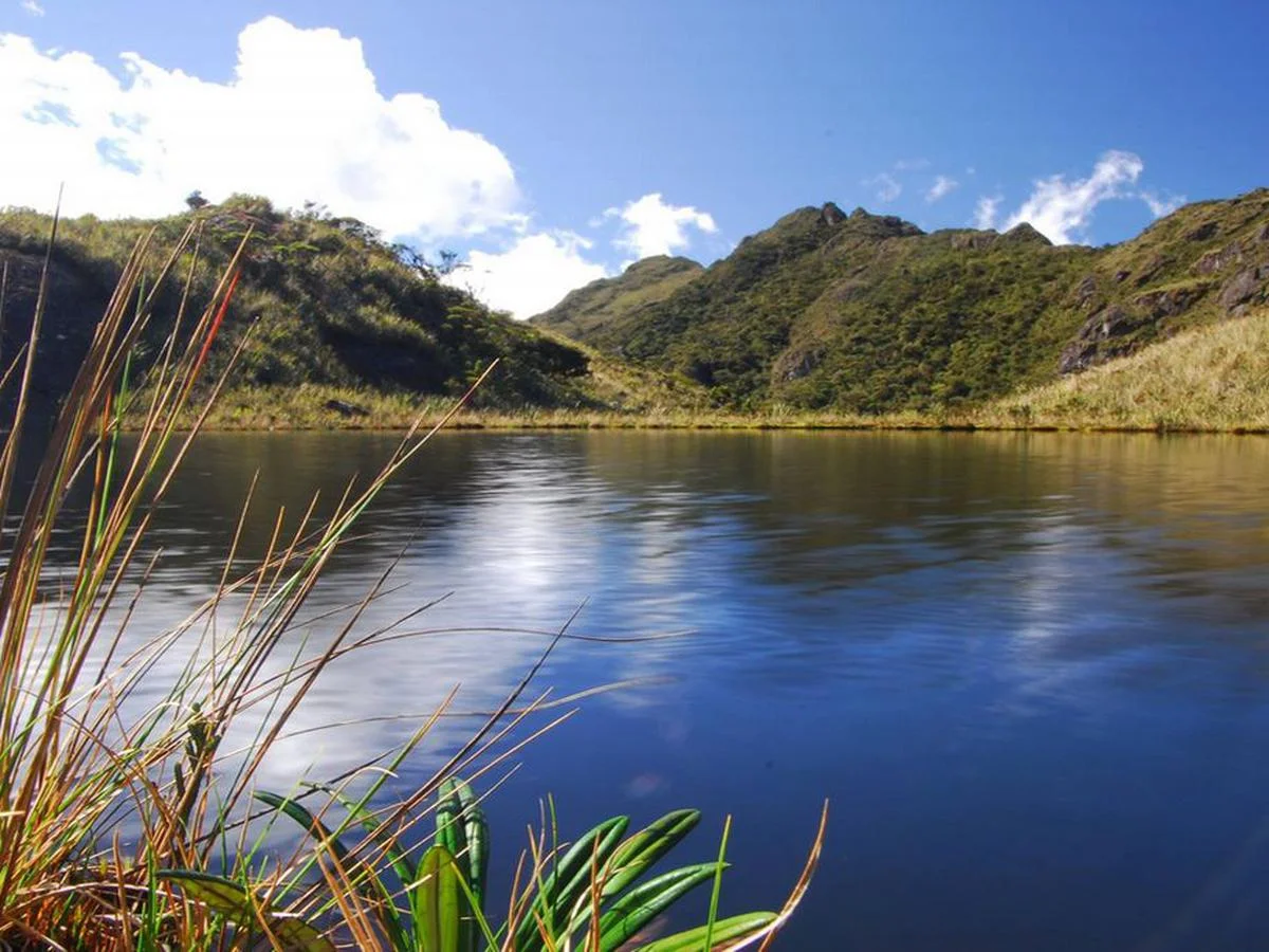 Santuarios-Nacionales-–-Perú-Naturaleza.jpeg