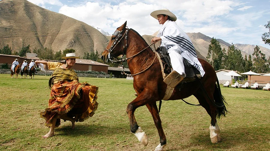 Caballo-Peruano-de-Paso-Festivales-en-Perú