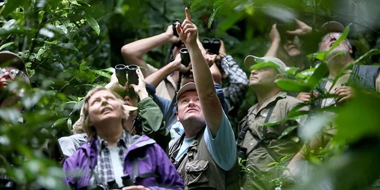 Programa-especial-para-Observadores-de-Aves